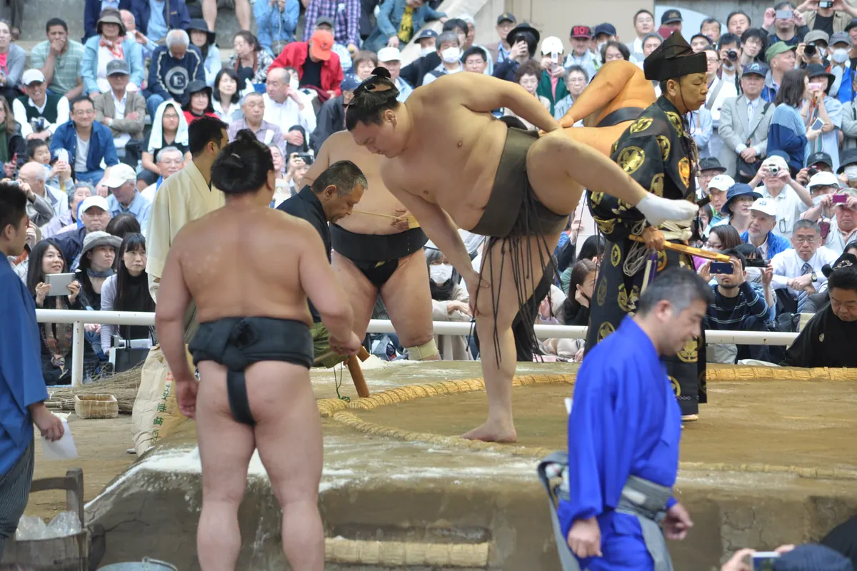 Ein Sumo-Ringer, der auf einem Bein balanciert und das andere hoch neben dem Rand eines Rings erhoben hat, vor Publikum